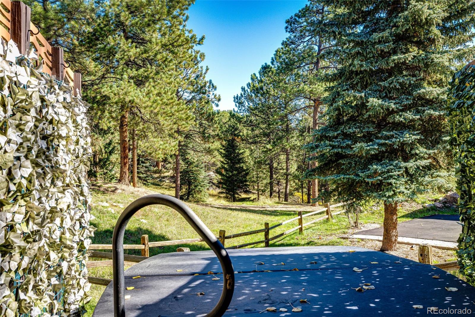 MLS Image #35 for 29862  troutdale park place,evergreen, Colorado