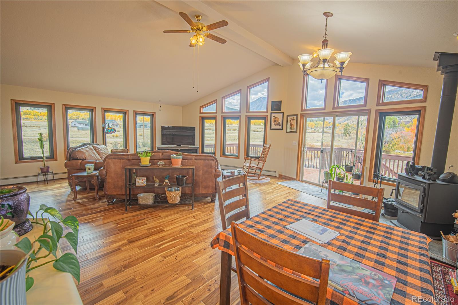 MLS Image #14 for 27107  county road 342 ,buena vista, Colorado