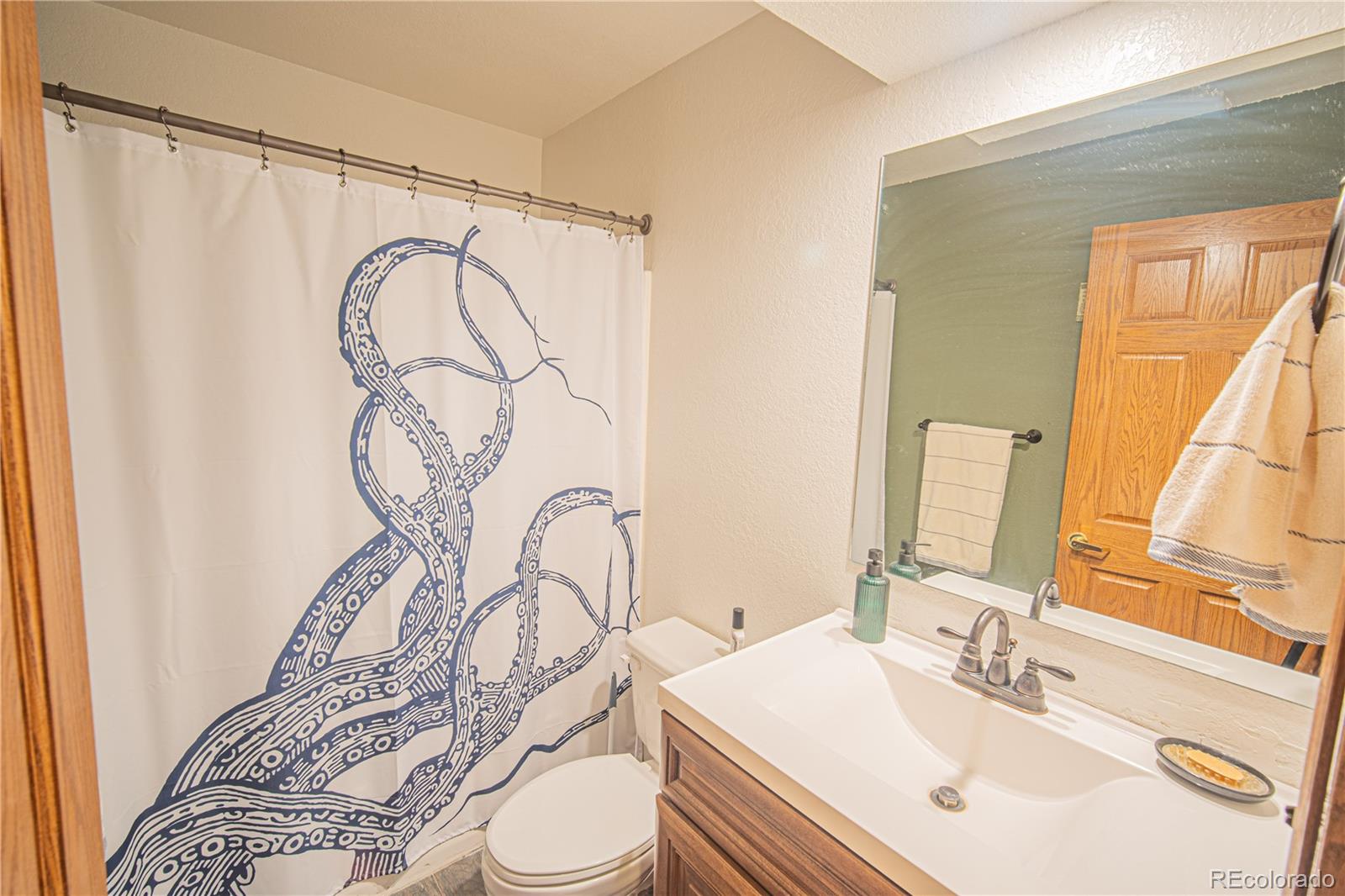 MLS Image #21 for 27107  county road 342 ,buena vista, Colorado