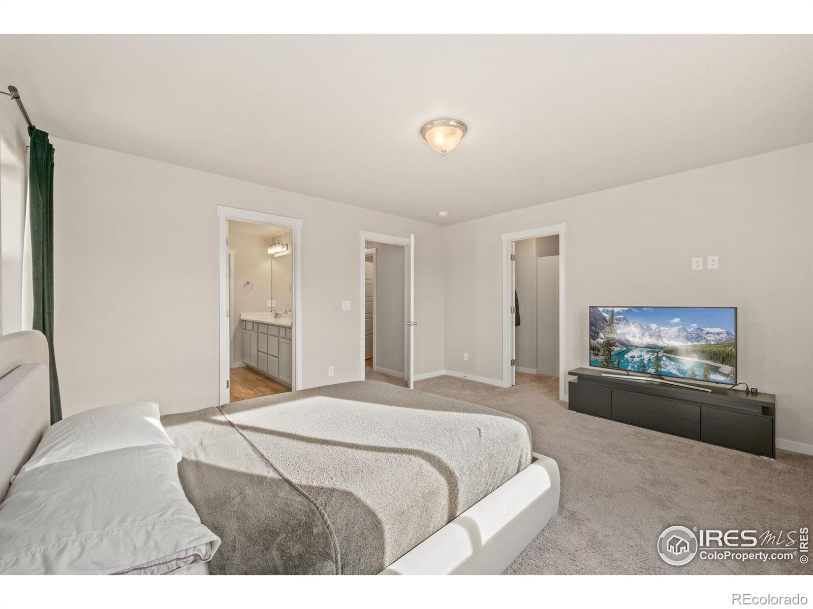 MLS Image #17 for 963  milner pass road,severance, Colorado