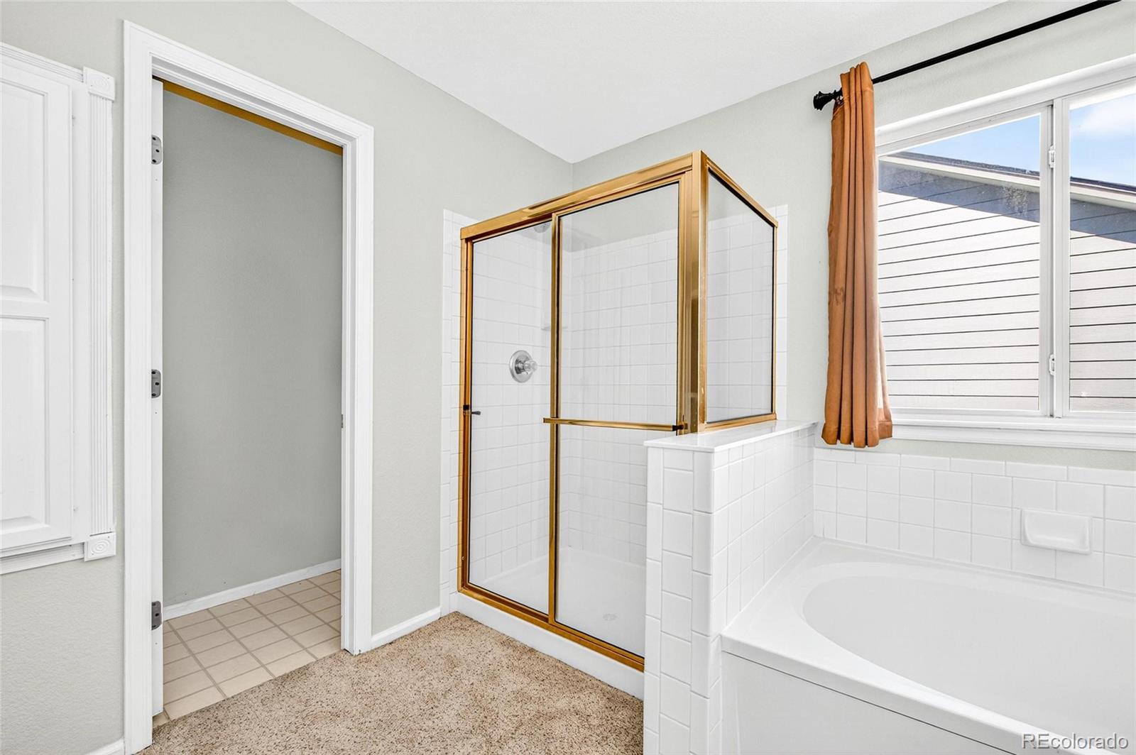 MLS Image #16 for 4013 s lisbon way,aurora, Colorado
