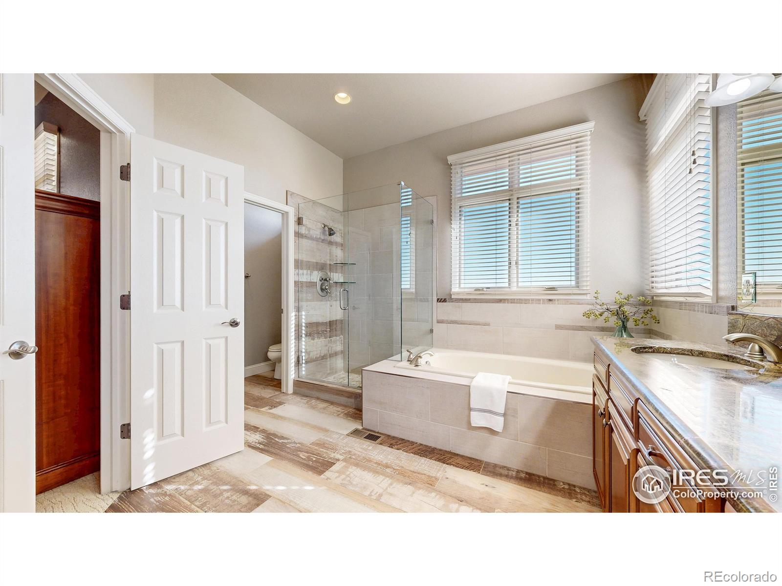 MLS Image #15 for 2003  kaplan drive,windsor, Colorado