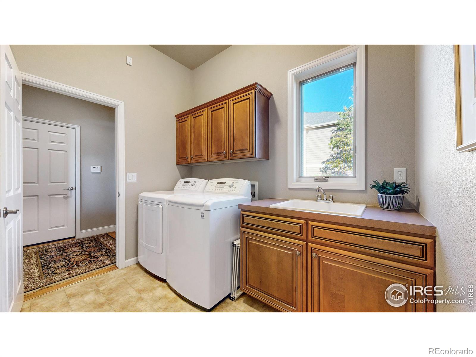 MLS Image #17 for 2003  kaplan drive,windsor, Colorado