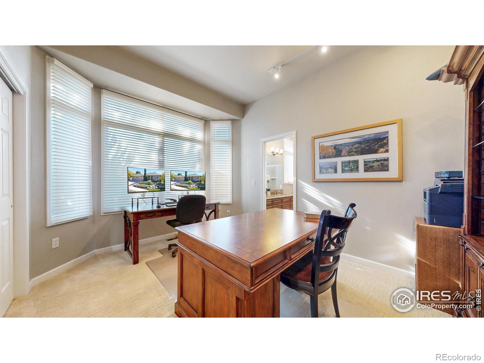 MLS Image #19 for 2003  kaplan drive,windsor, Colorado