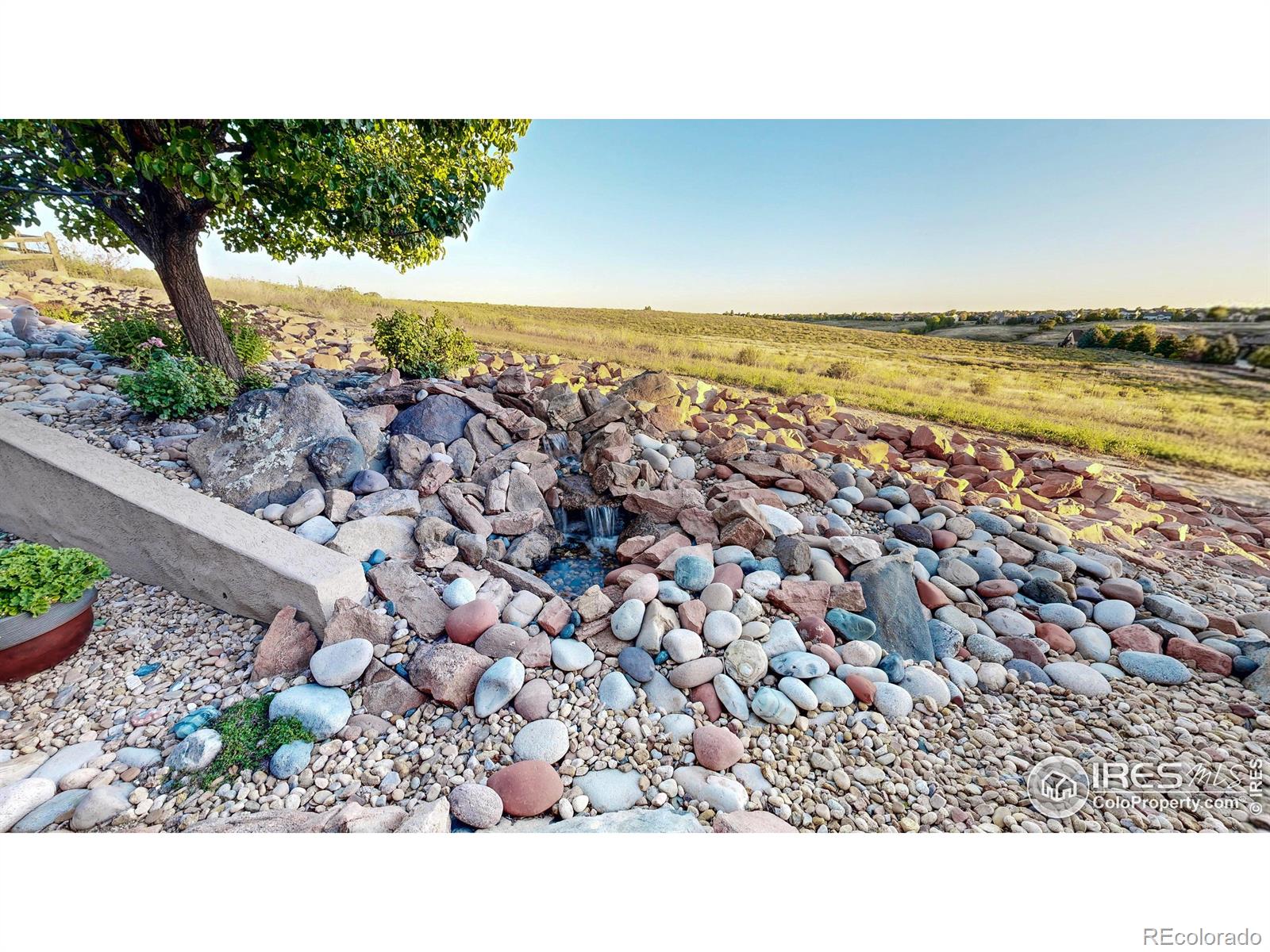 MLS Image #43 for 2003  kaplan drive,windsor, Colorado