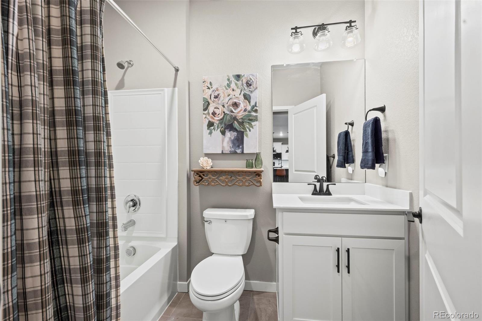 MLS Image #10 for 14628  bonsmara drive,mead, Colorado