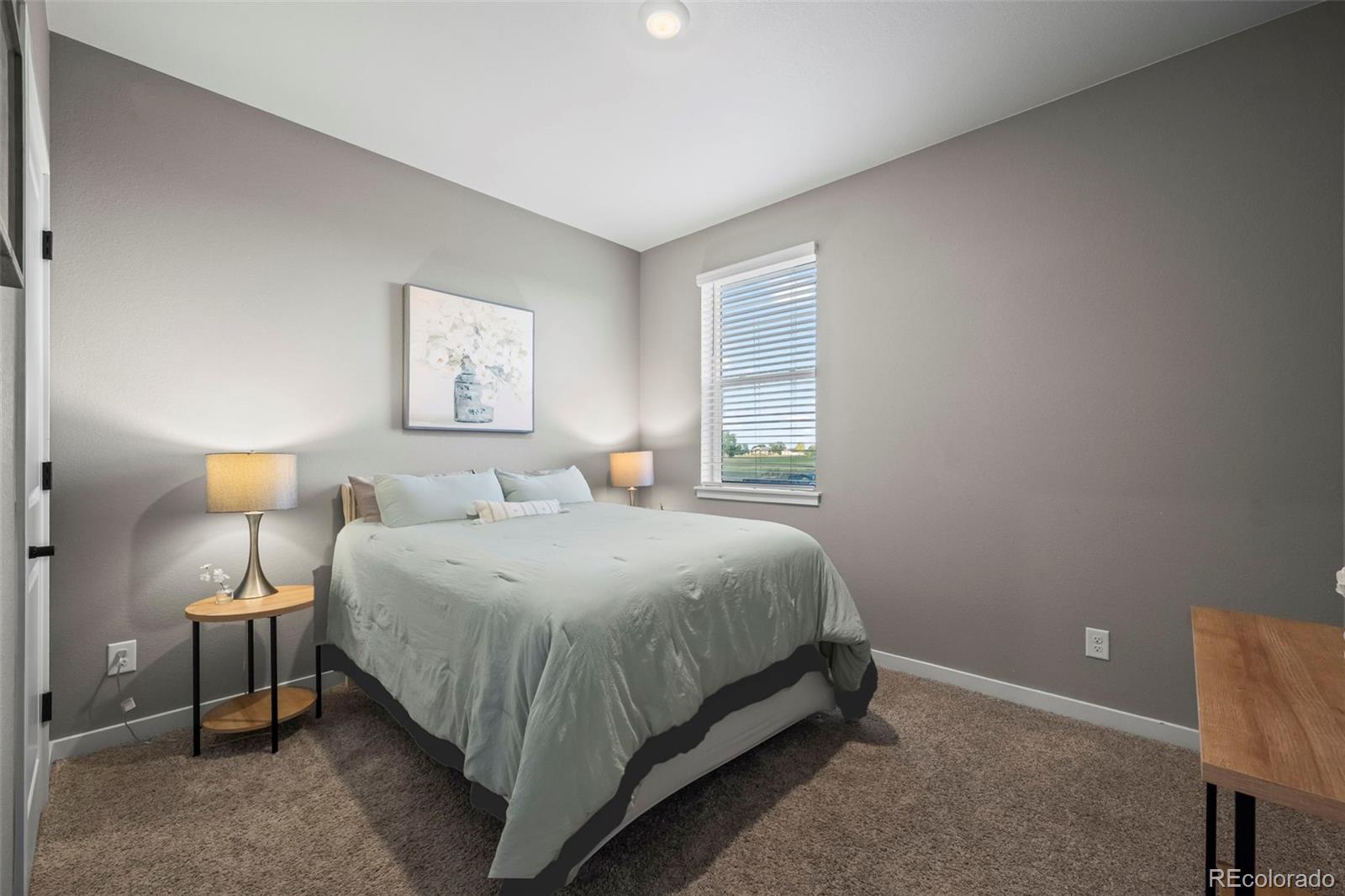 MLS Image #11 for 14628  bonsmara drive,mead, Colorado