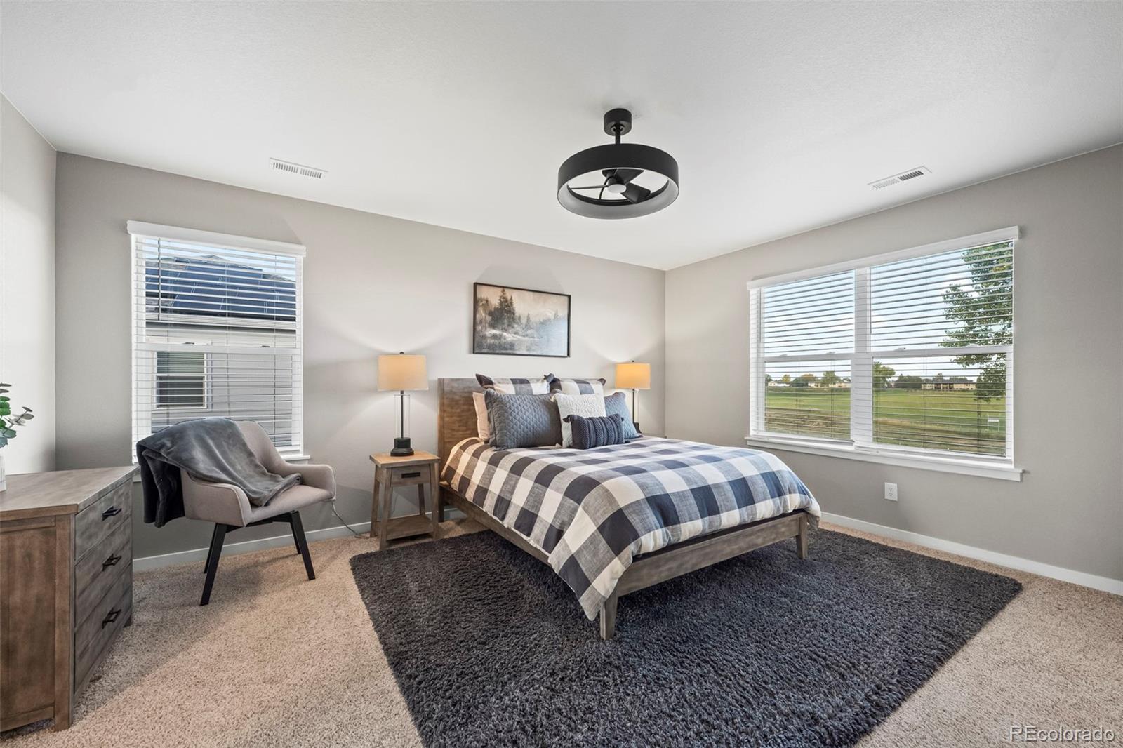 MLS Image #12 for 14628  bonsmara drive,mead, Colorado