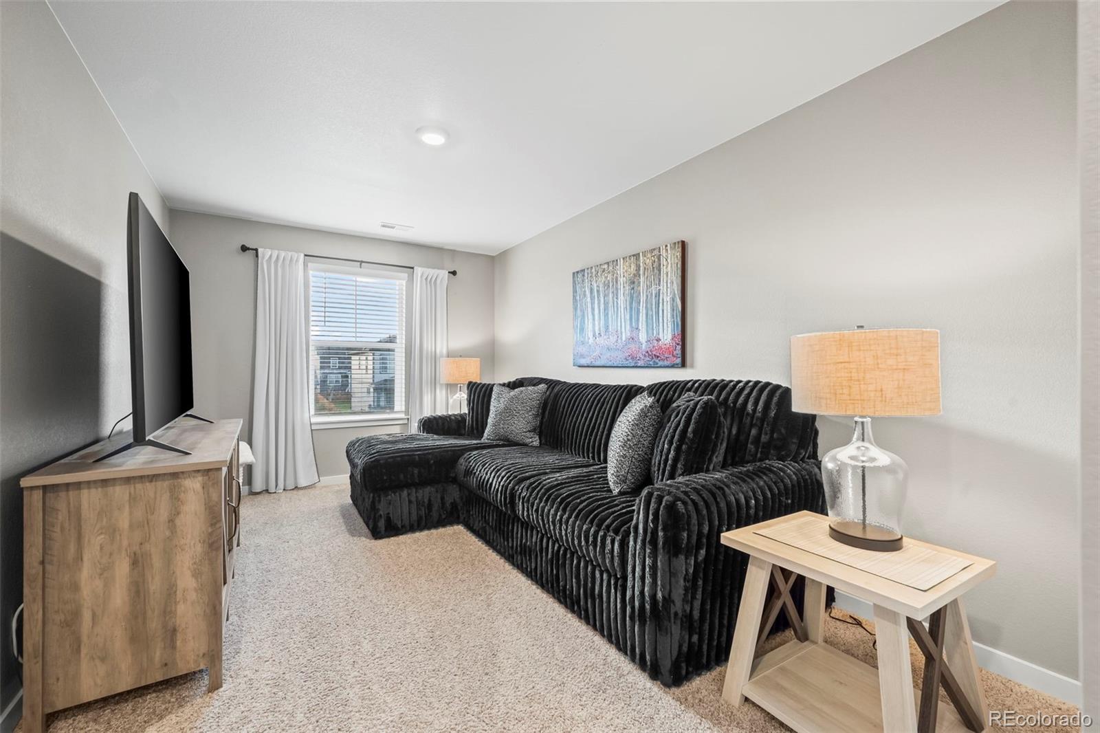 MLS Image #13 for 14628  bonsmara drive,mead, Colorado