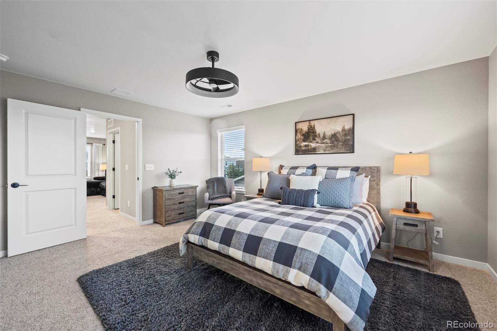 MLS Image #14 for 14628  bonsmara drive,mead, Colorado