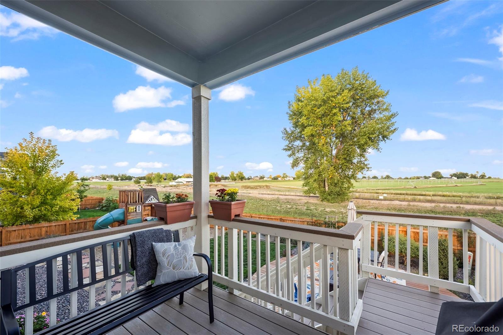 MLS Image #20 for 14628  bonsmara drive,mead, Colorado