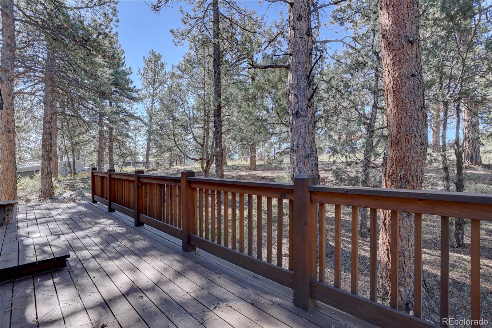MLS Image #5 for 1999  roland drive,bailey, Colorado
