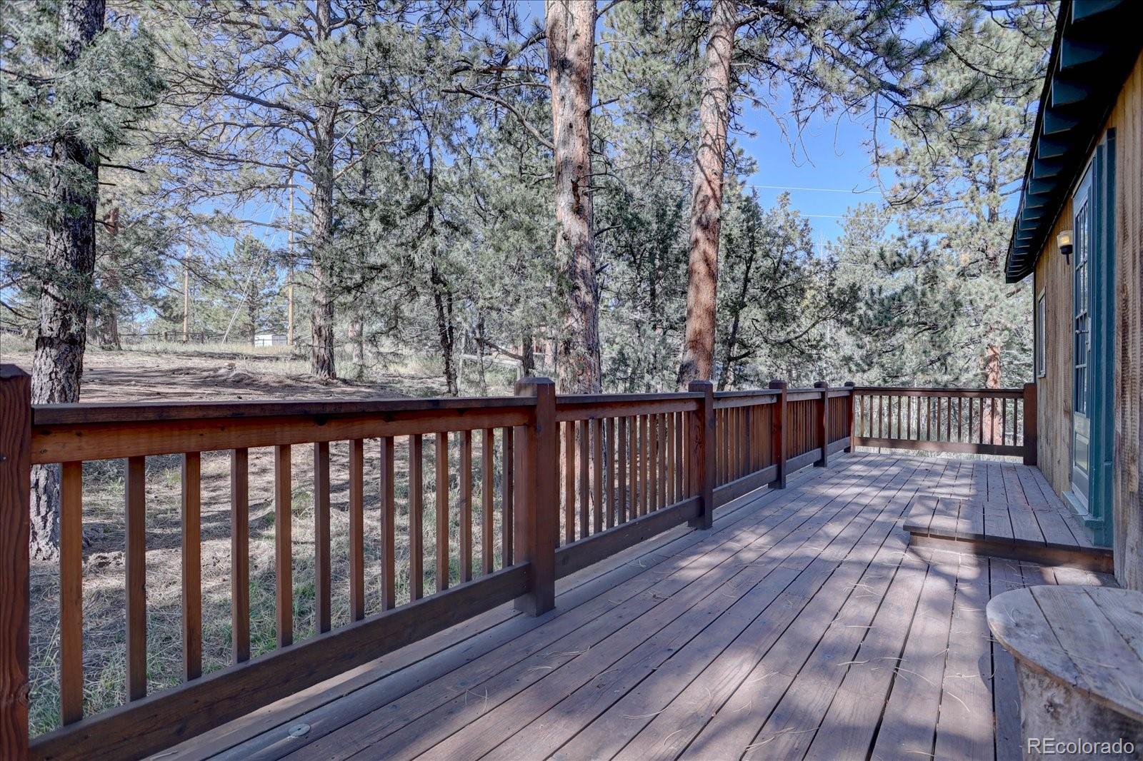MLS Image #6 for 1999  roland drive,bailey, Colorado