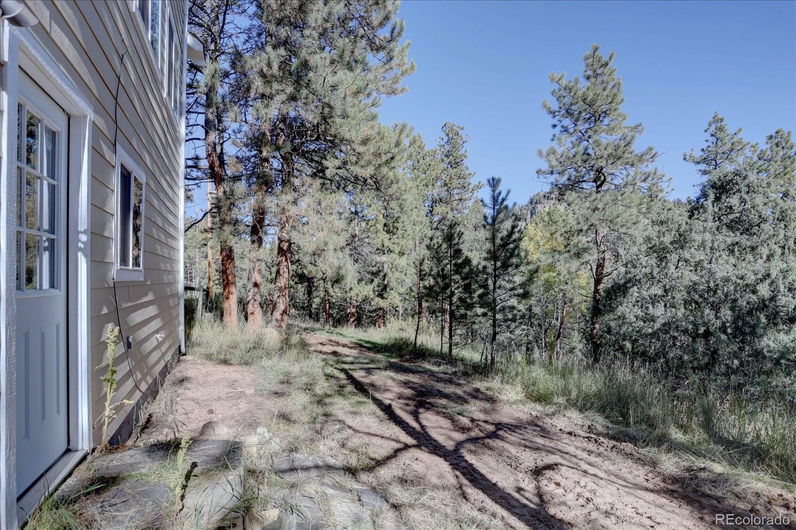 MLS Image #7 for 1999  roland drive,bailey, Colorado