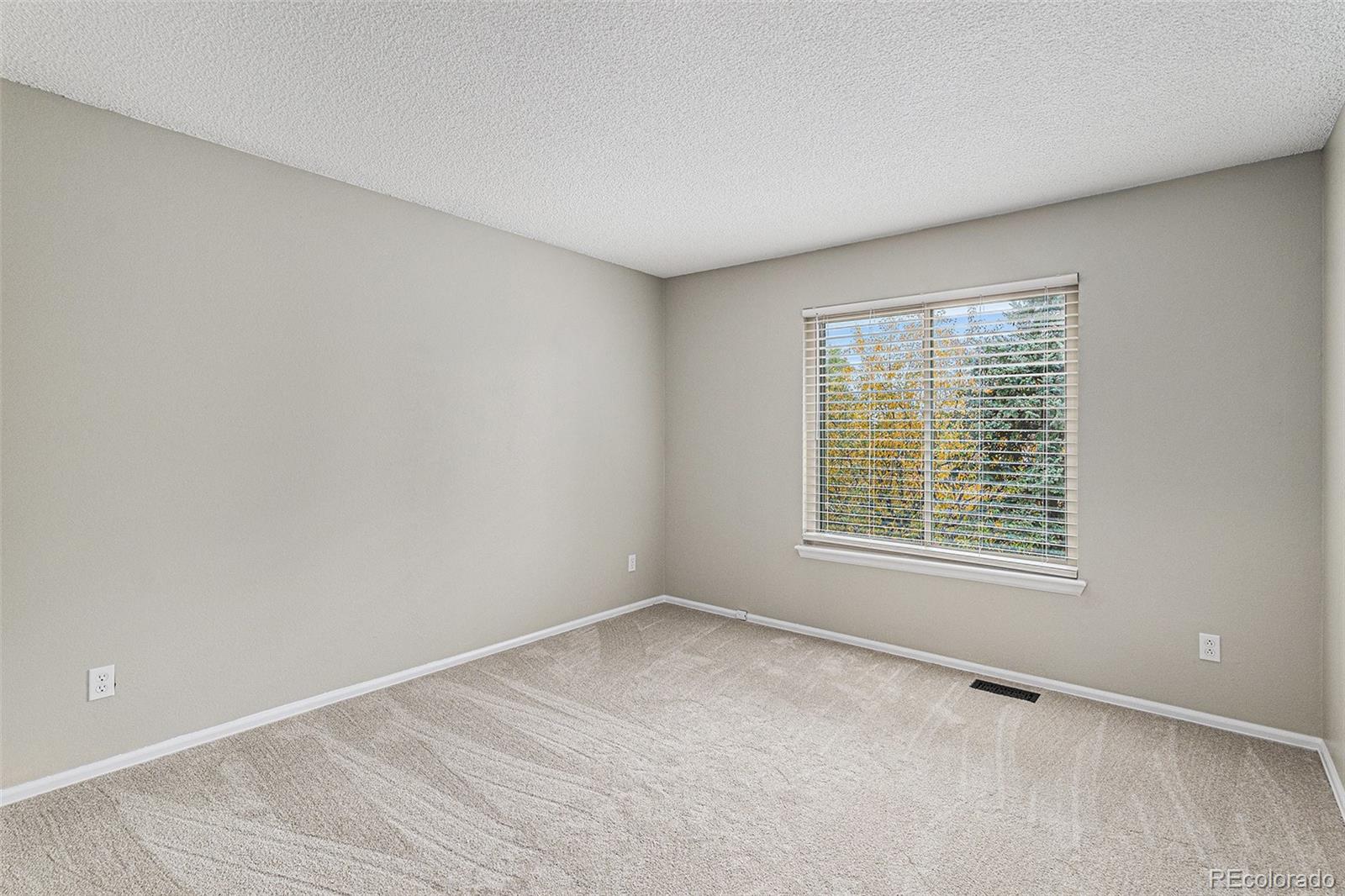 MLS Image #13 for 8503  redstone street ,highlands ranch, Colorado