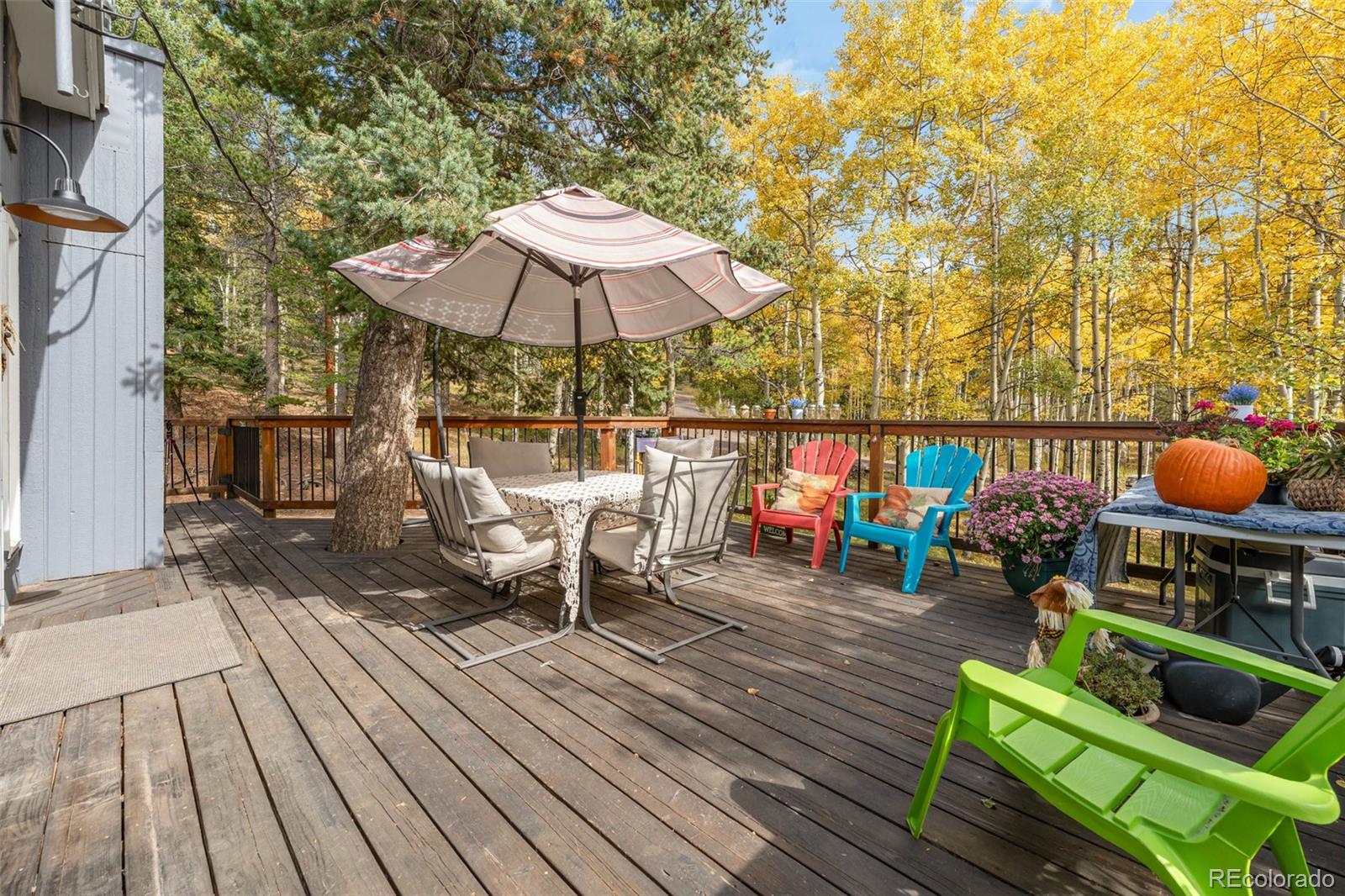MLS Image #15 for 8991  rex lane,conifer, Colorado