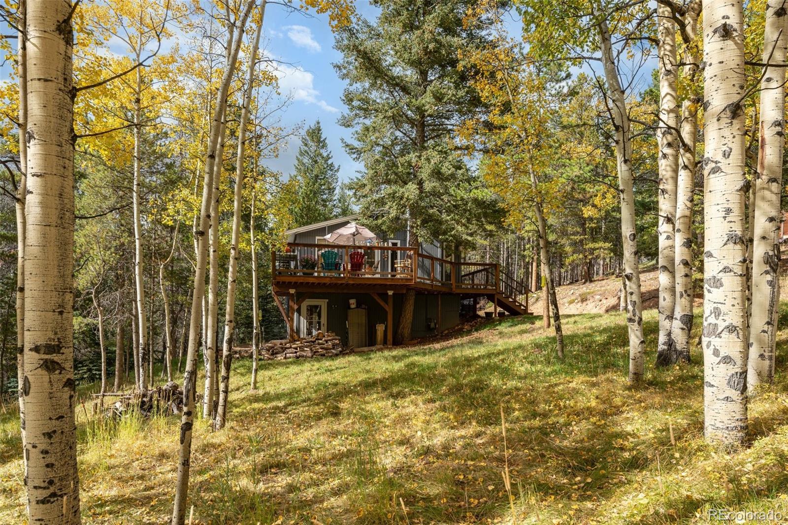 MLS Image #17 for 8991  rex lane,conifer, Colorado