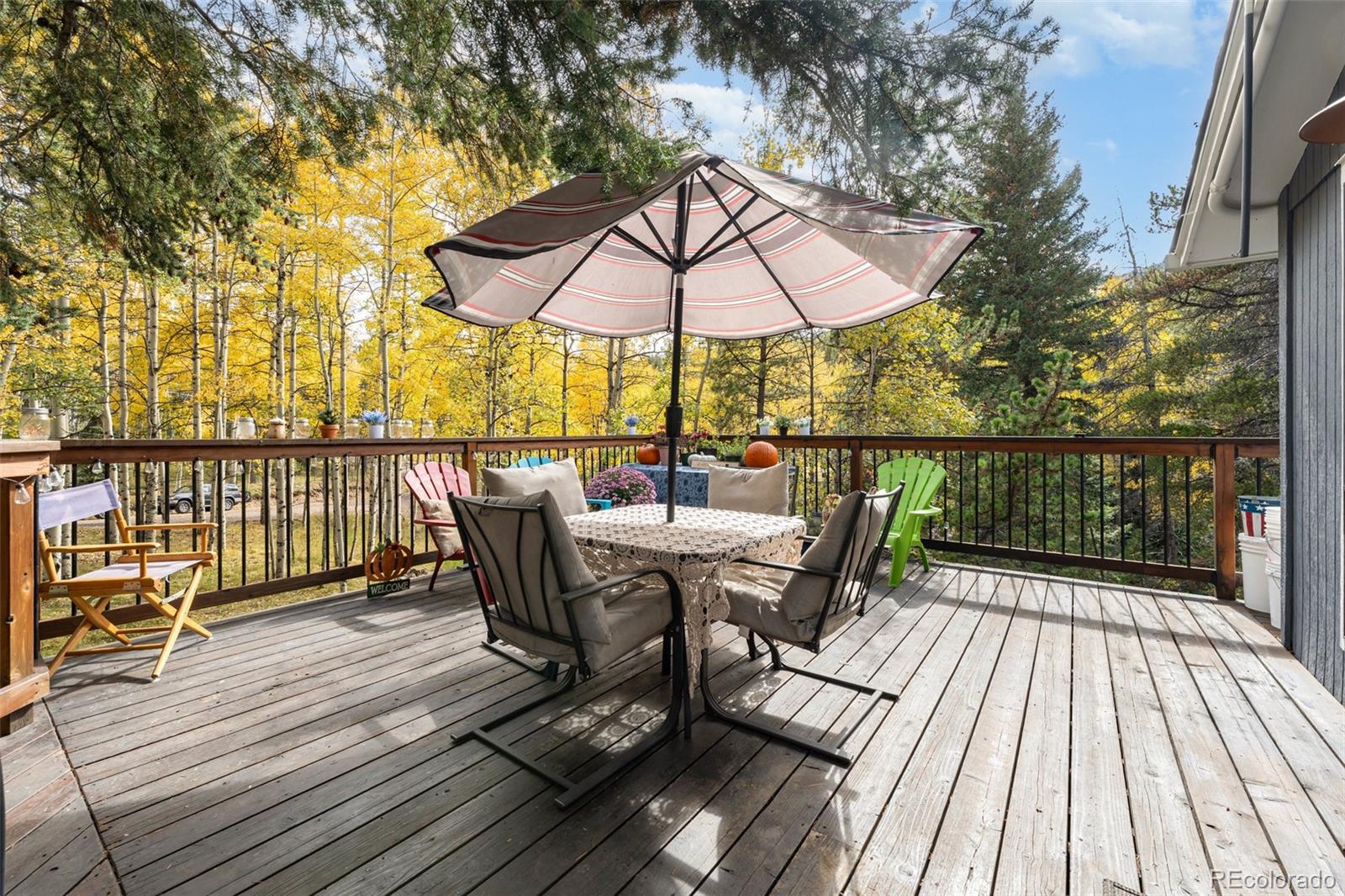MLS Image #2 for 8991  rex lane,conifer, Colorado