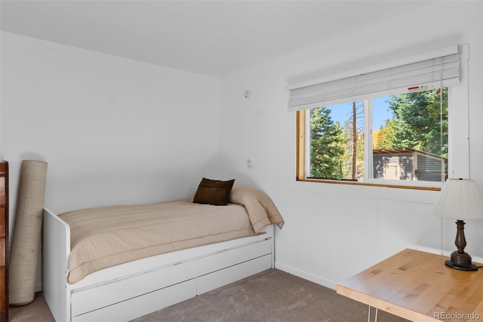 MLS Image #12 for 5364  meadow creek rd ,tabernash, Colorado