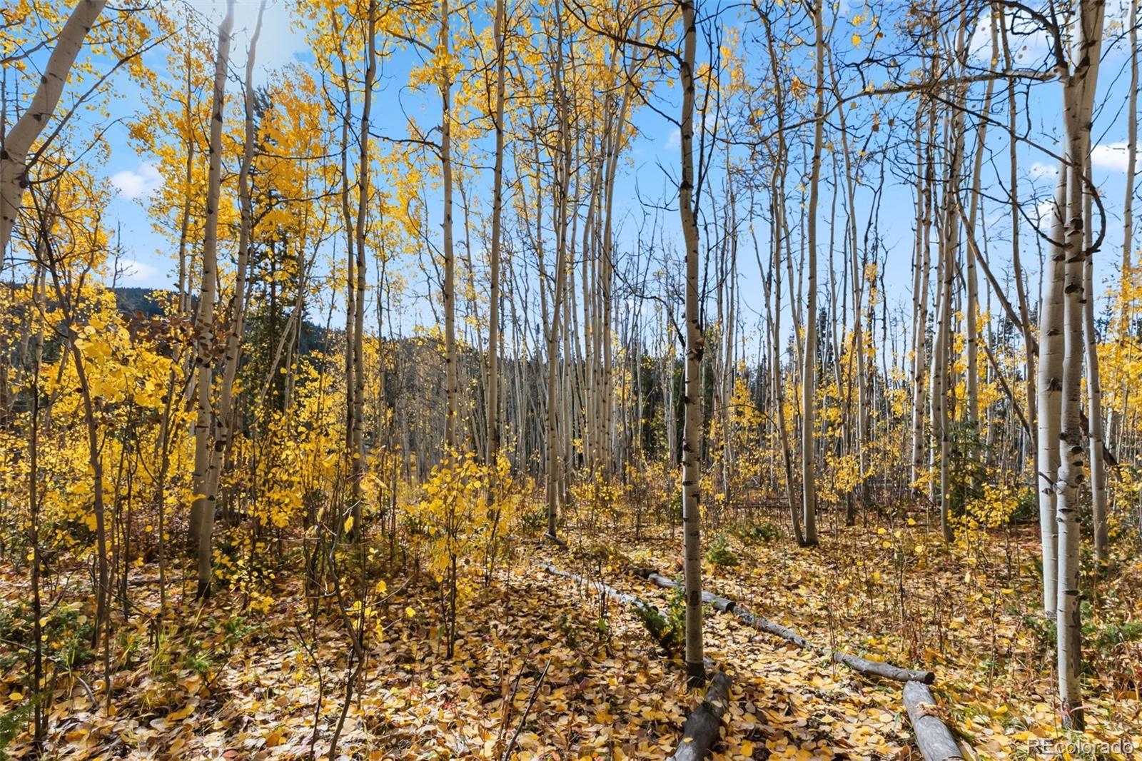MLS Image #18 for 5364  meadow creek rd ,tabernash, Colorado