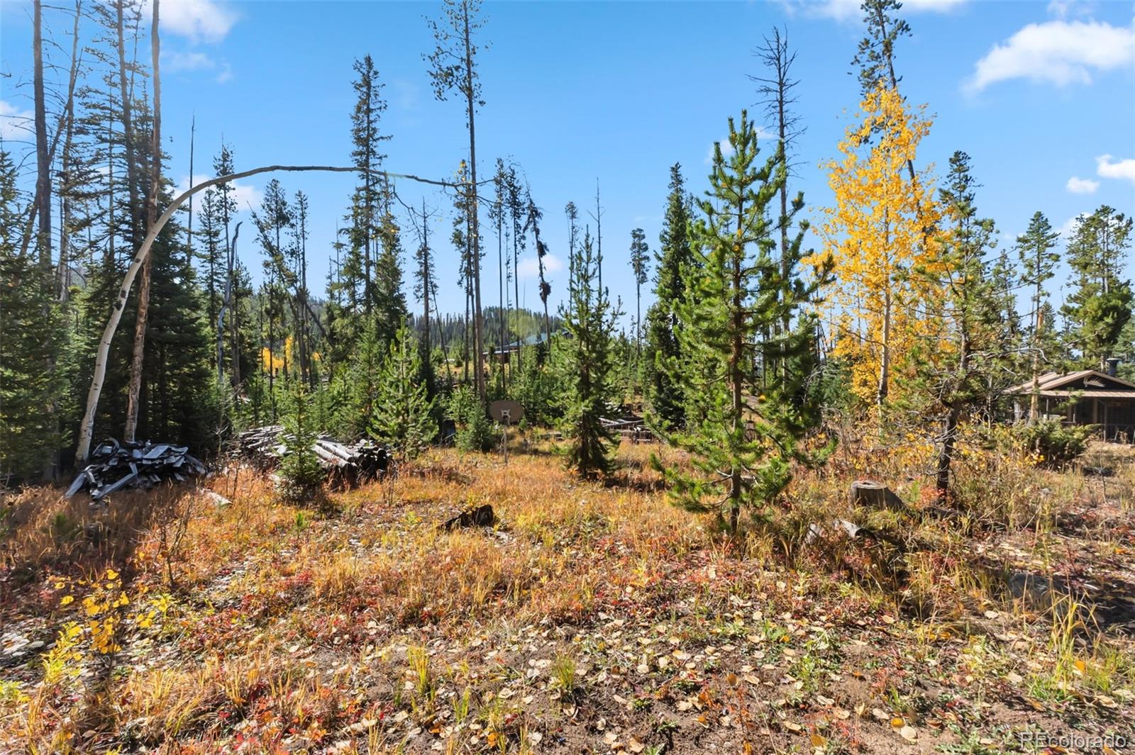 MLS Image #19 for 5364  meadow creek rd ,tabernash, Colorado