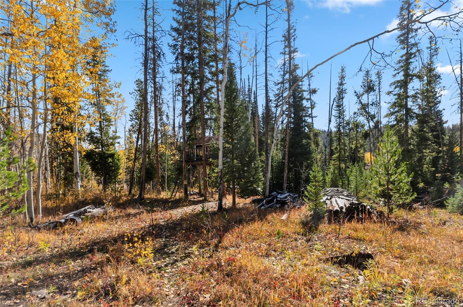 MLS Image #20 for 5364  meadow creek rd ,tabernash, Colorado