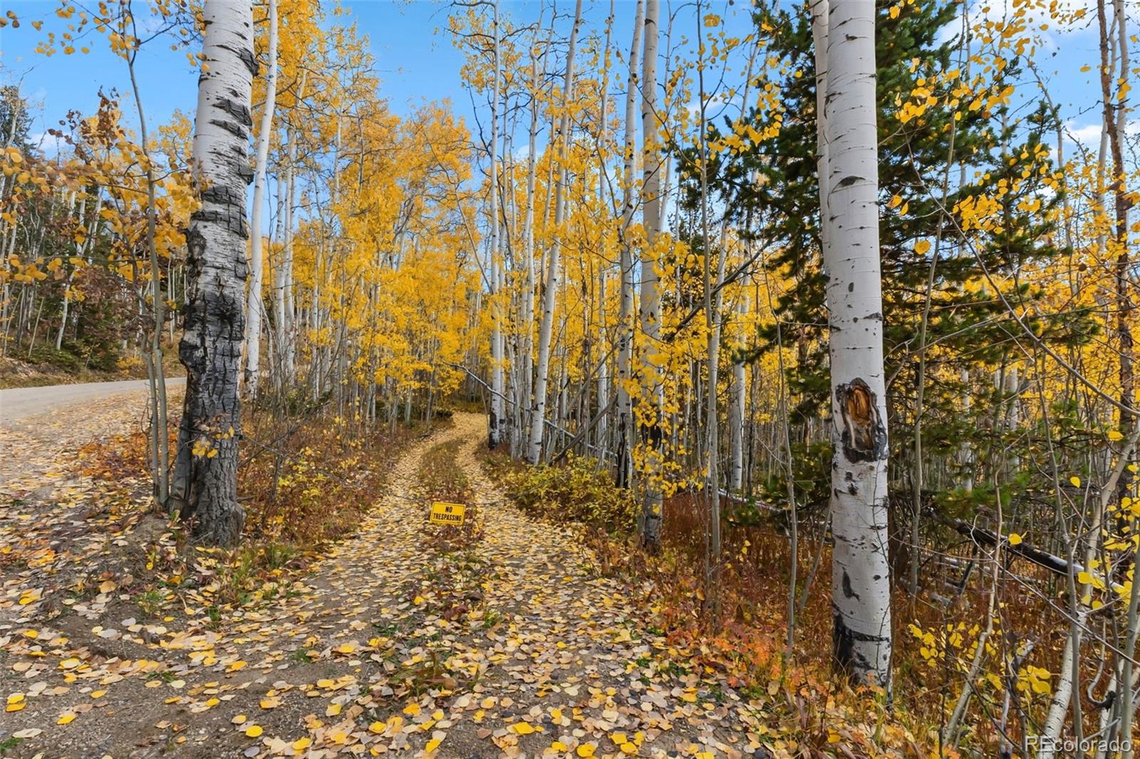MLS Image #21 for 5364  meadow creek rd ,tabernash, Colorado