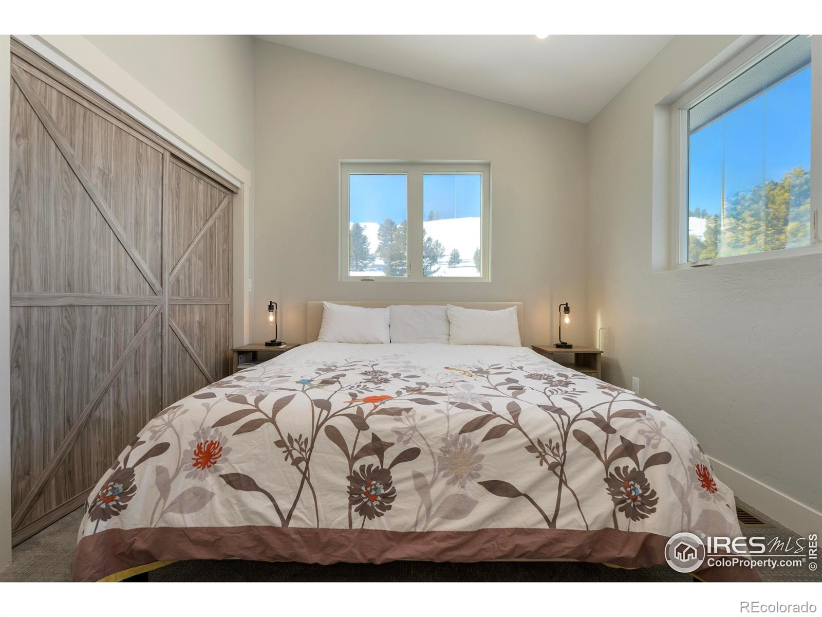MLS Image #13 for 107  county road 526 ,tabernash, Colorado