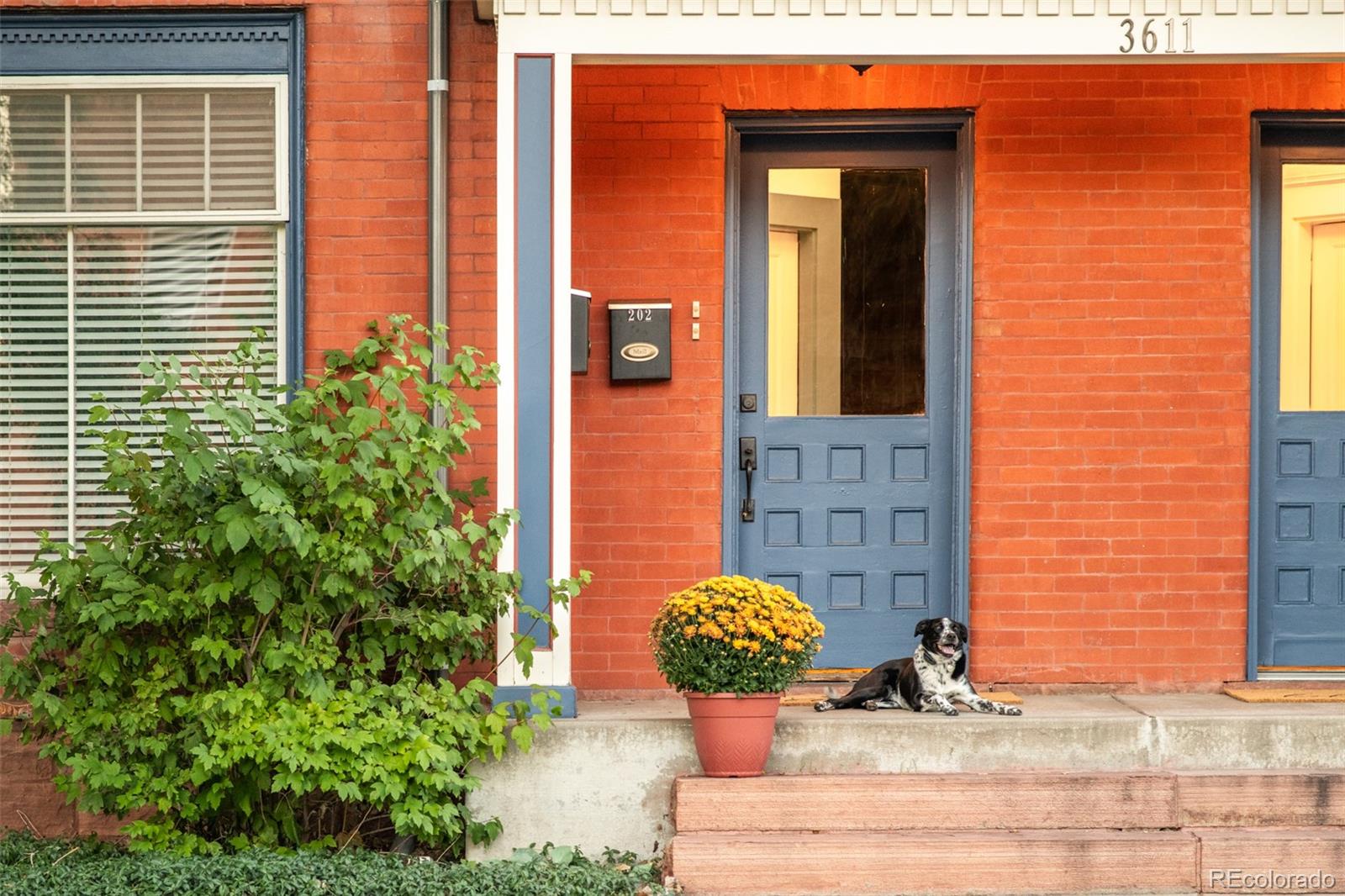 MLS Image #1 for 3611  zuni street 102,denver, Colorado