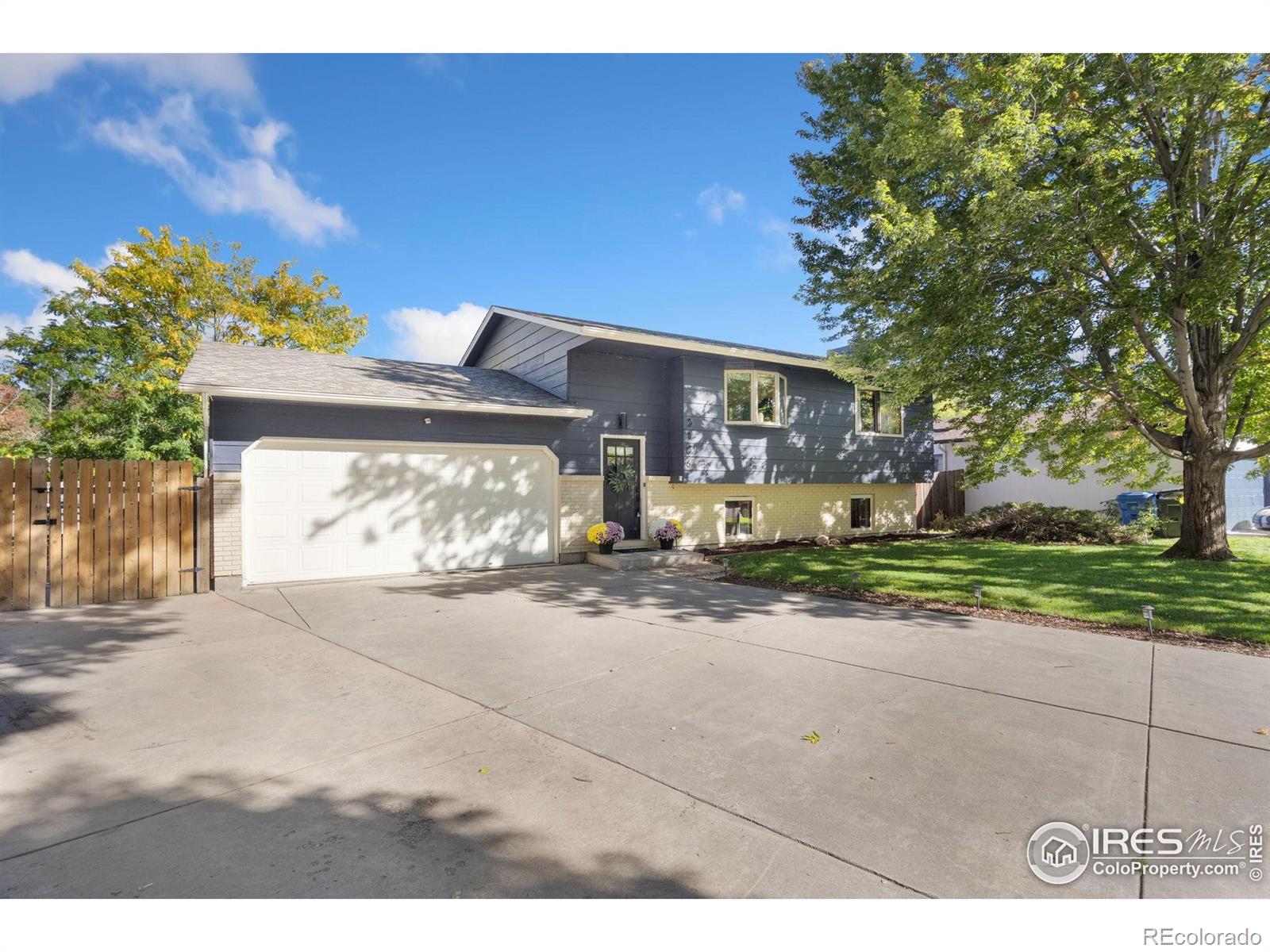 MLS Image #3 for 3106  lymen street,fort collins, Colorado