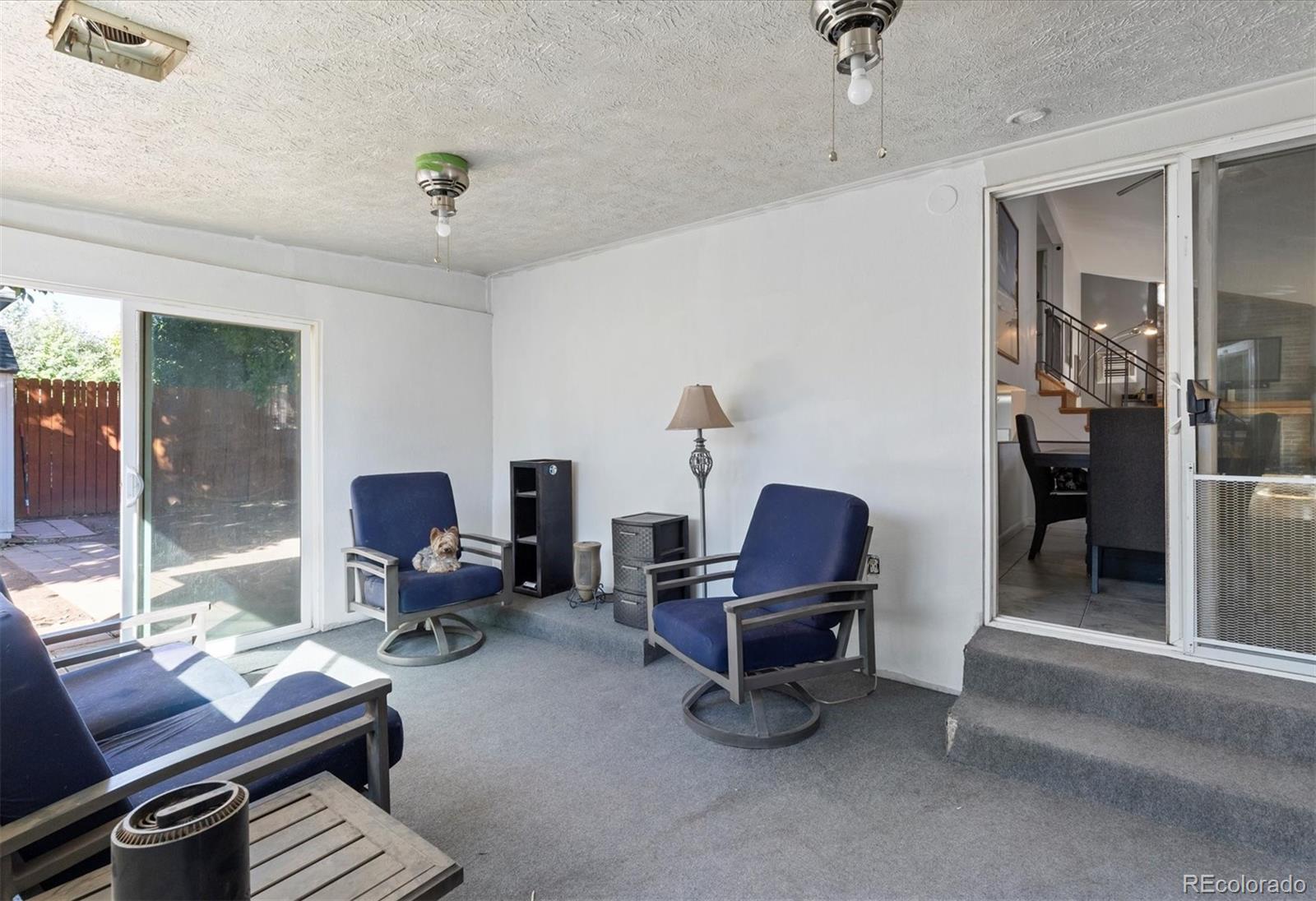 MLS Image #11 for 5005 s braun street,morrison, Colorado