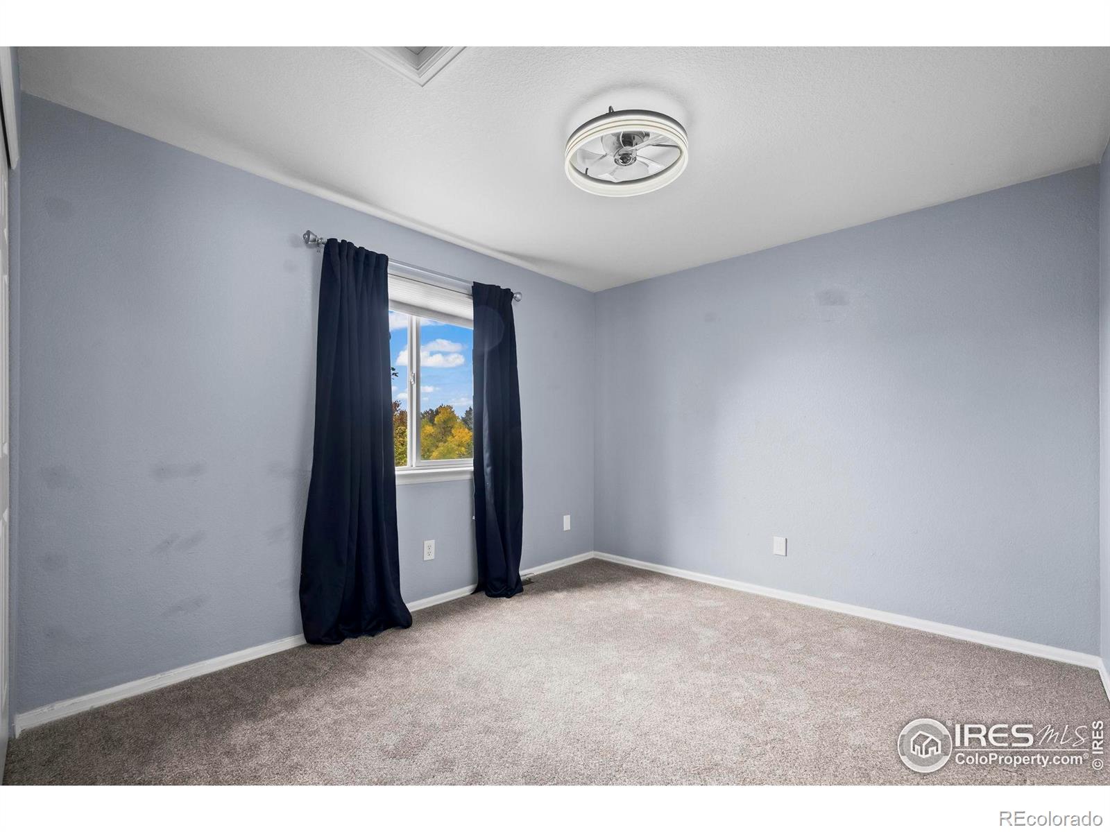 MLS Image #20 for 2529  azalea way,erie, Colorado