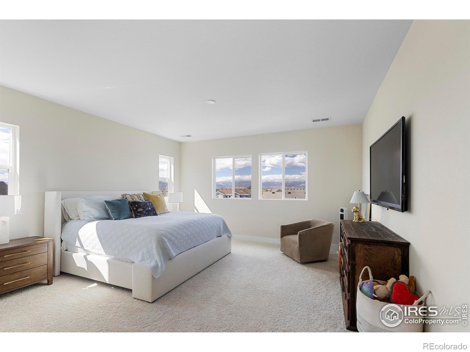 MLS Image #19 for 1783  morgan drive,erie, Colorado