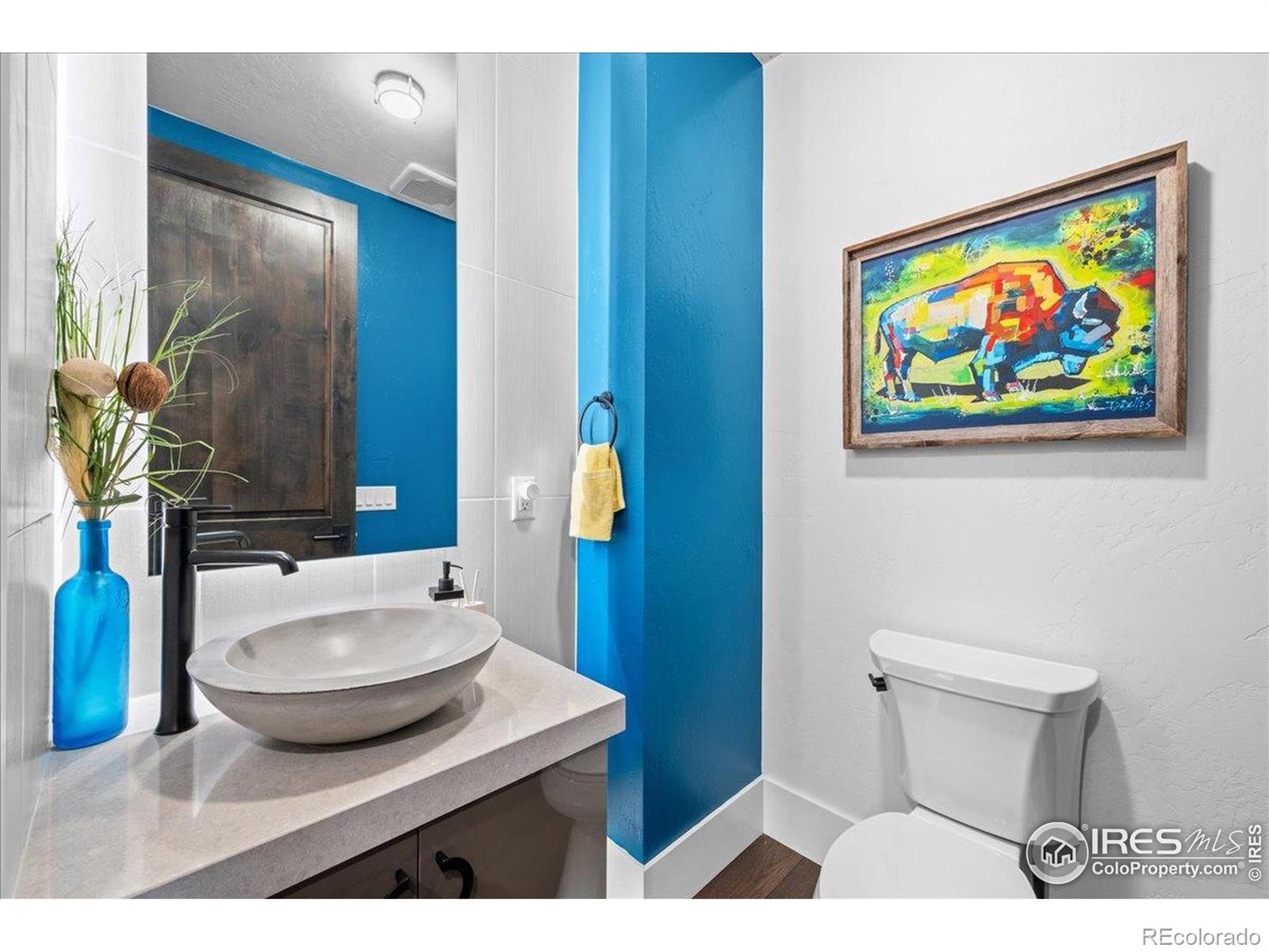 MLS Image #10 for 302 n meldrum street,fort collins, Colorado