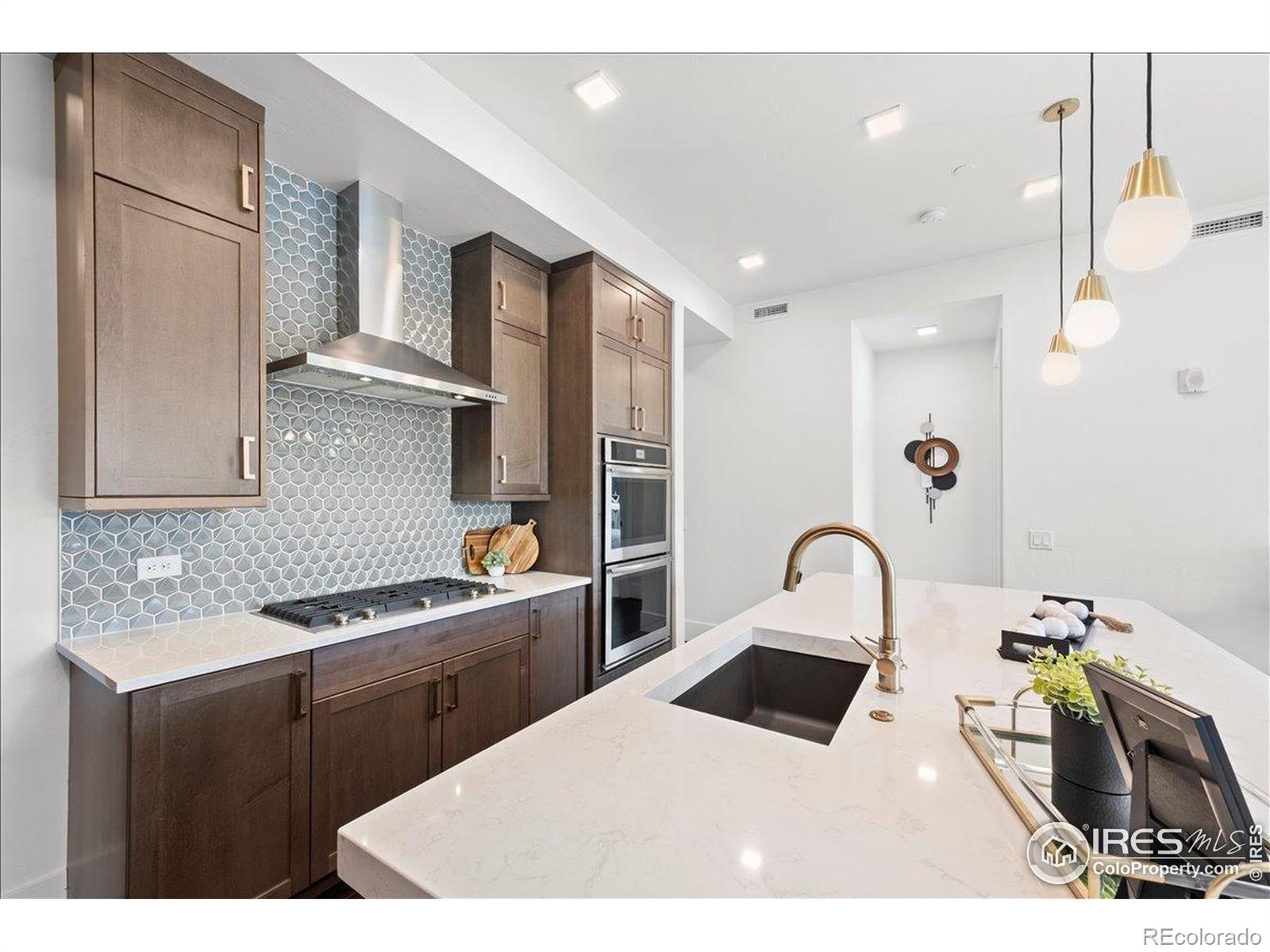 MLS Image #12 for 302 n meldrum street,fort collins, Colorado
