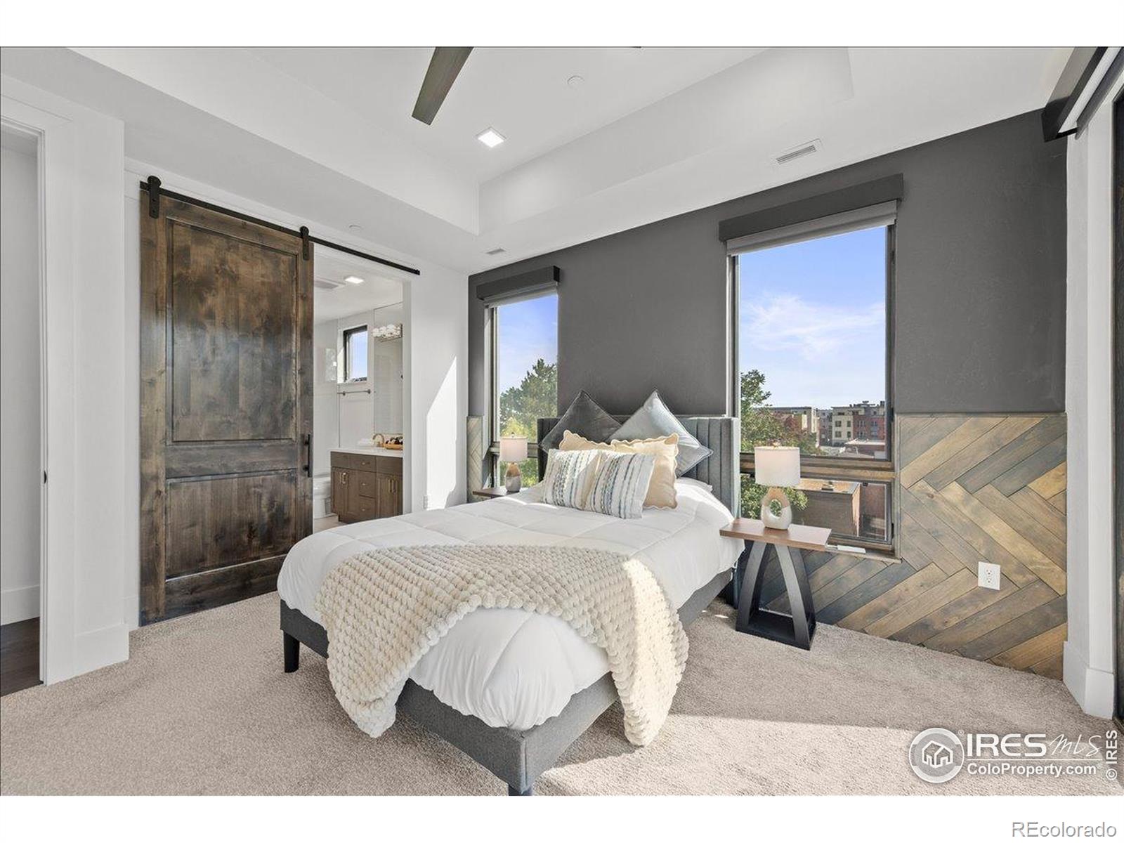 MLS Image #18 for 302 n meldrum street,fort collins, Colorado