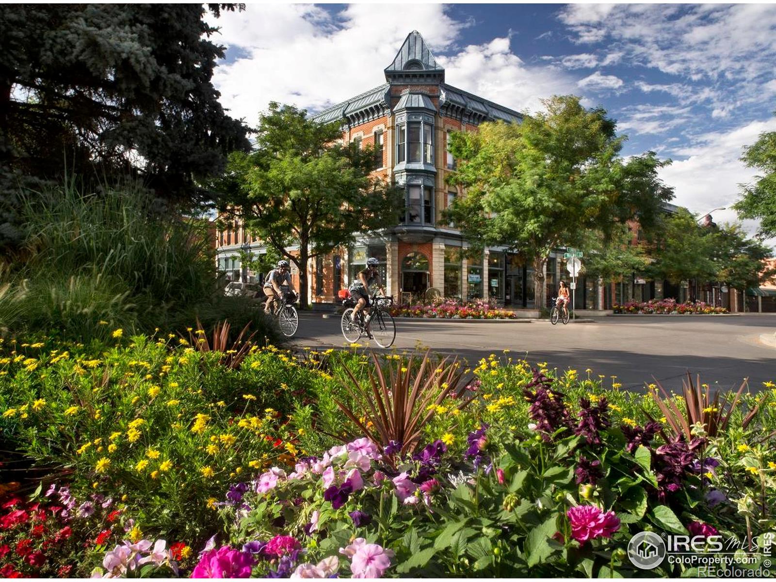 MLS Image #28 for 302 n meldrum street,fort collins, Colorado