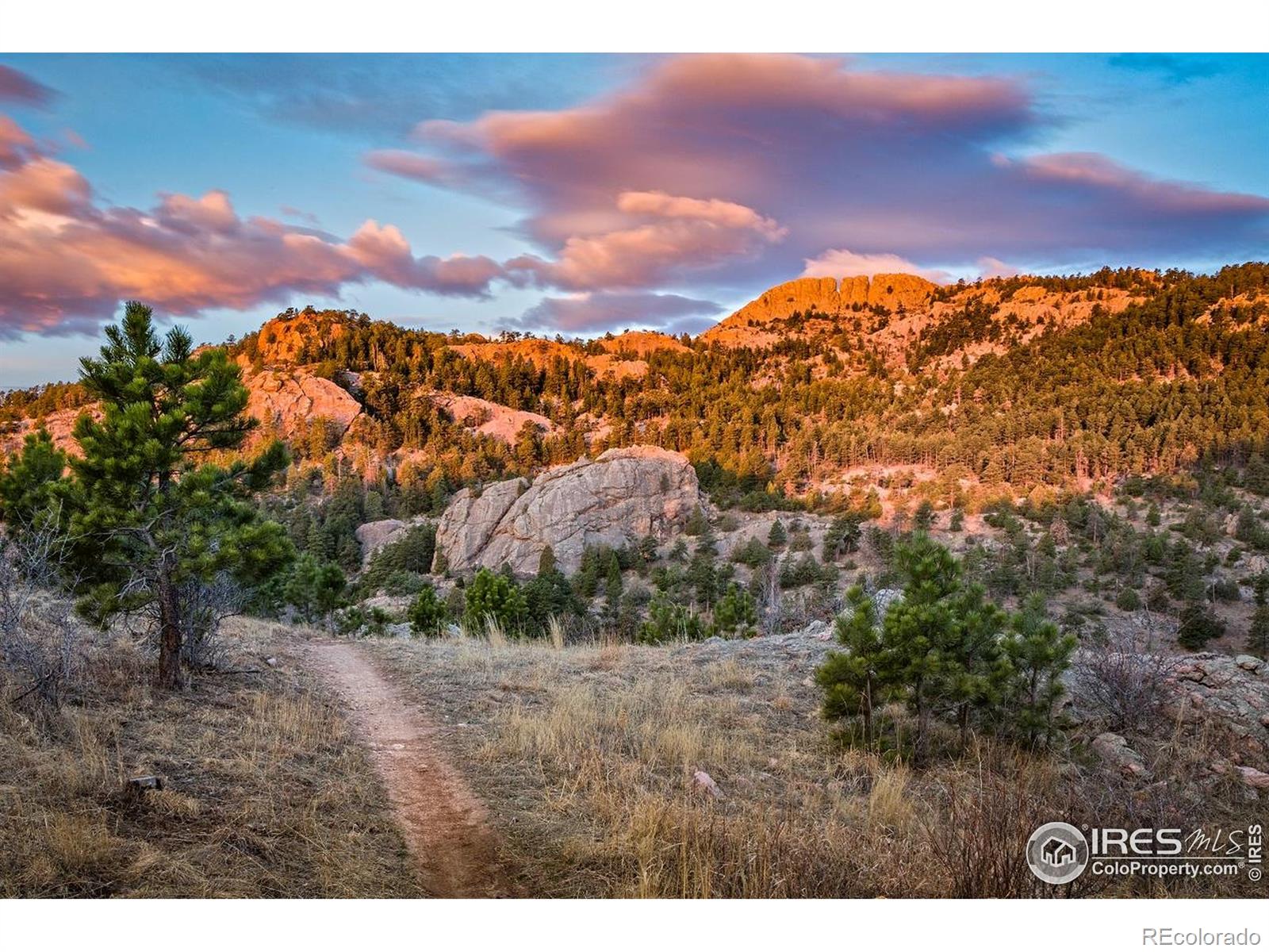 MLS Image #37 for 302 n meldrum street,fort collins, Colorado