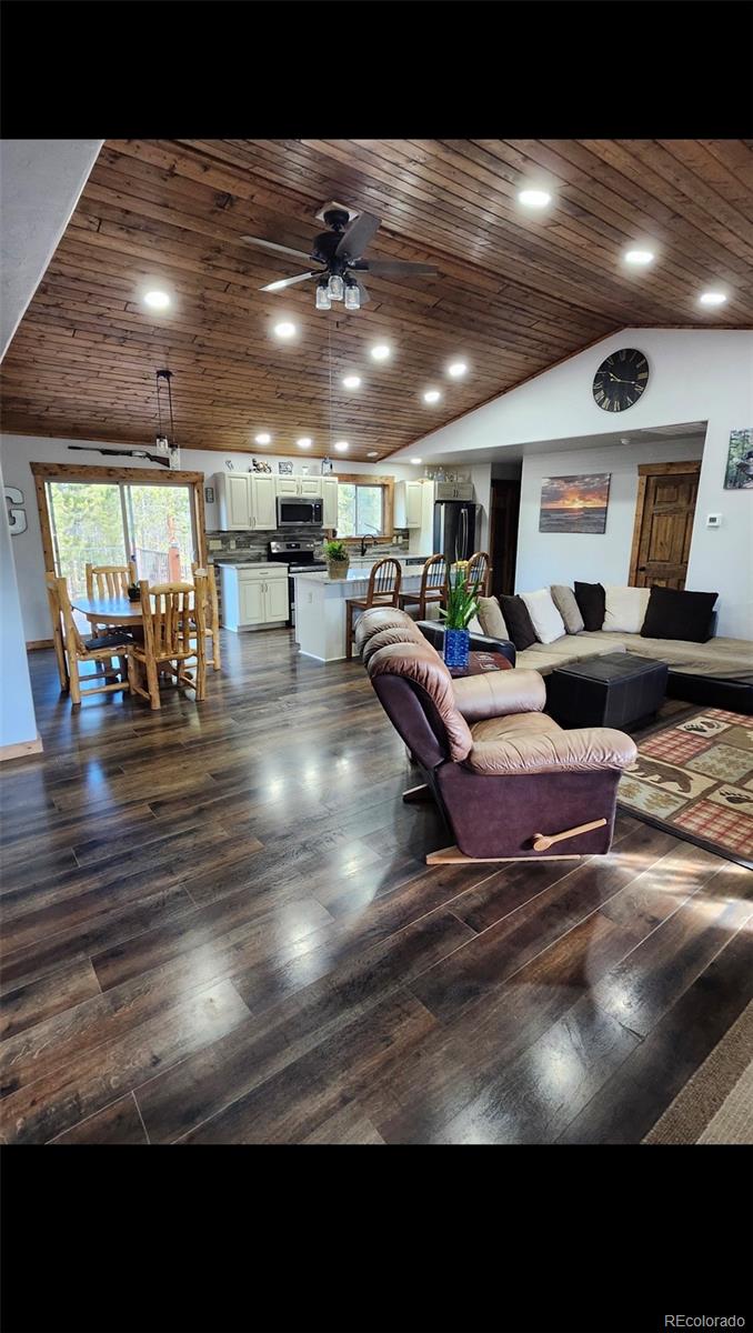 MLS Image #0 for 455  cedar drive,leadville, Colorado