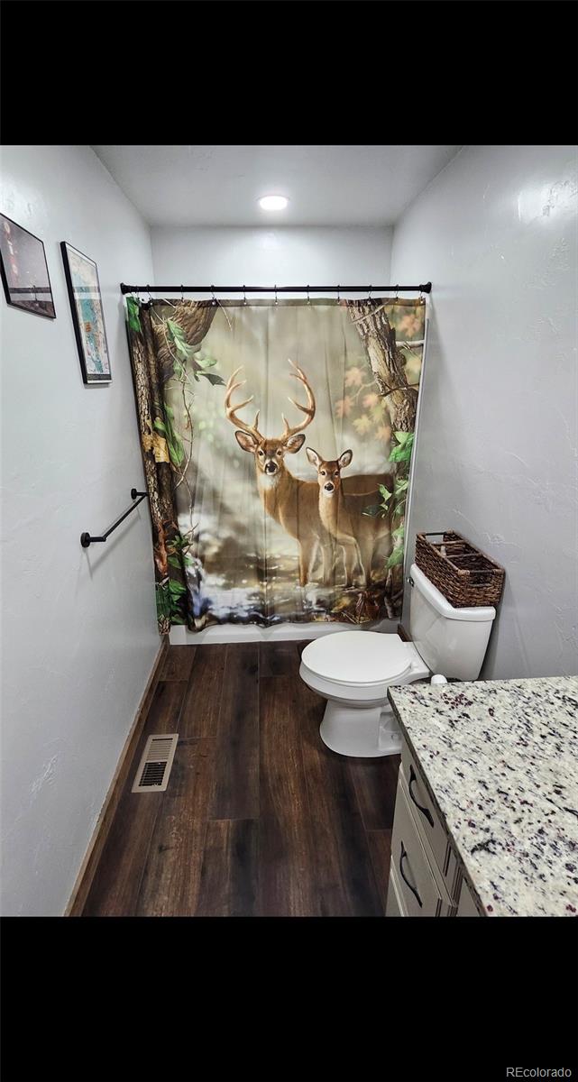 MLS Image #18 for 455  cedar drive,leadville, Colorado