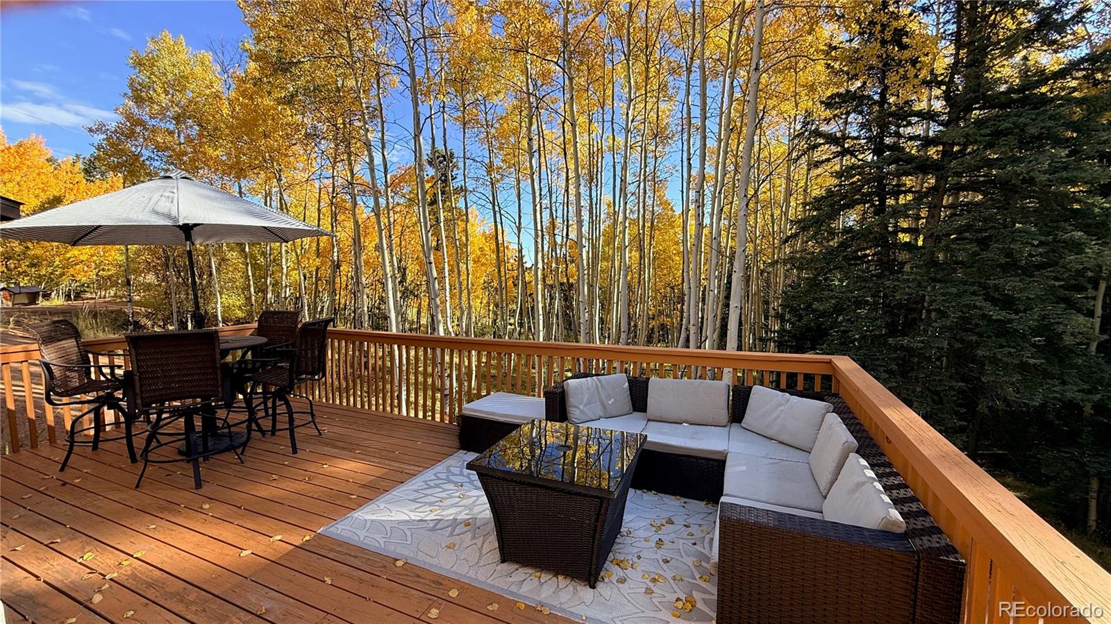 MLS Image #3 for 263  wakanda trail,woodland park, Colorado