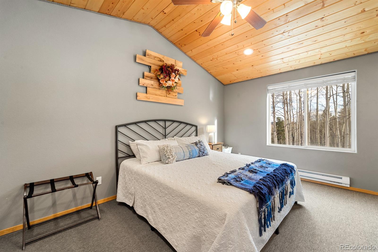 MLS Image #5 for 263  wakanda trail,woodland park, Colorado