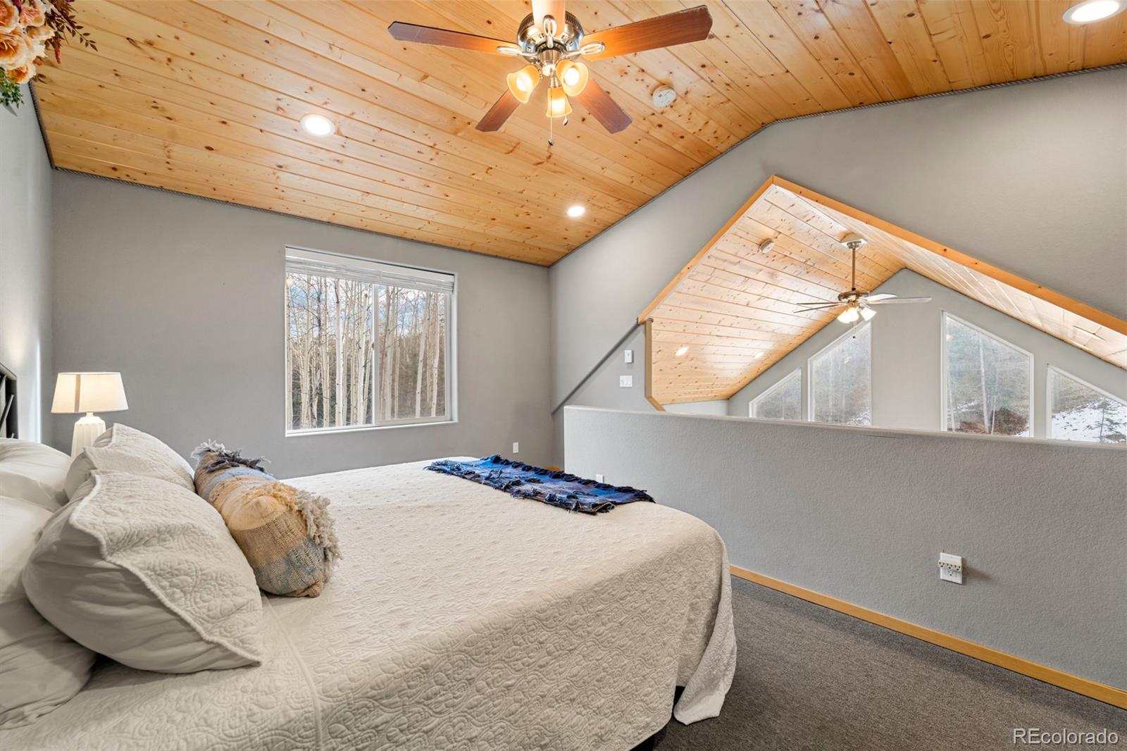 MLS Image #6 for 263  wakanda trail,woodland park, Colorado