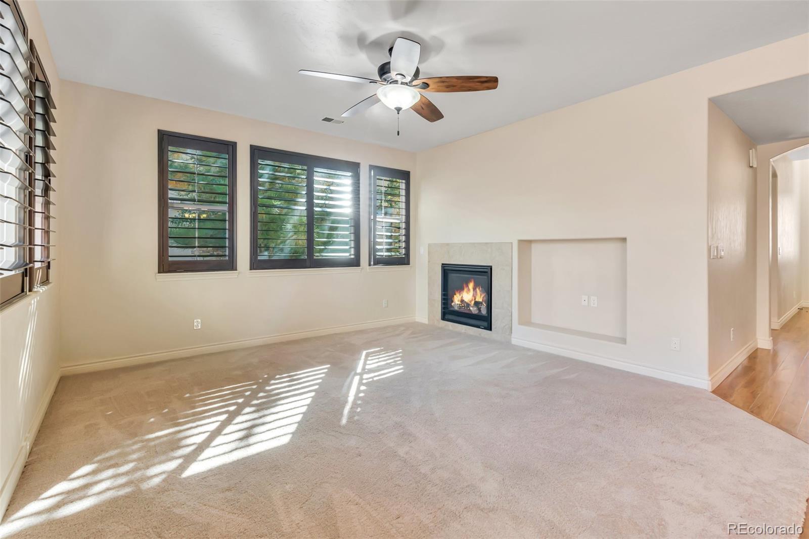 MLS Image #5 for 4415  echo court ,larkspur, Colorado