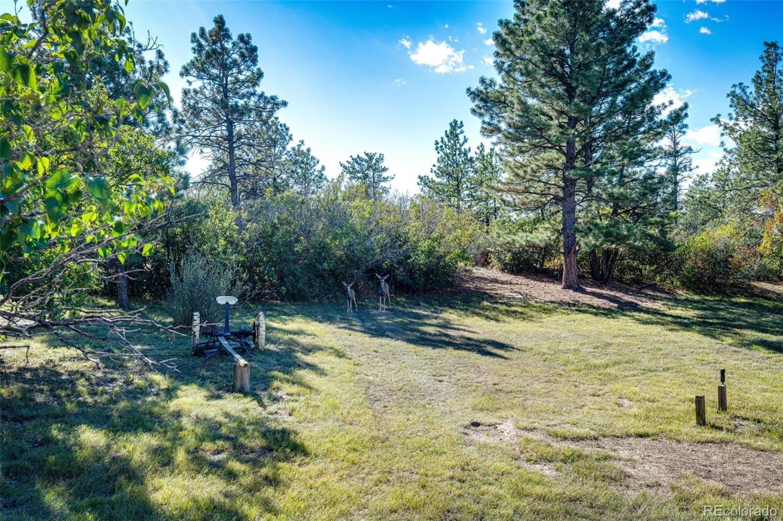MLS Image #30 for 7417  rafter road,franktown, Colorado