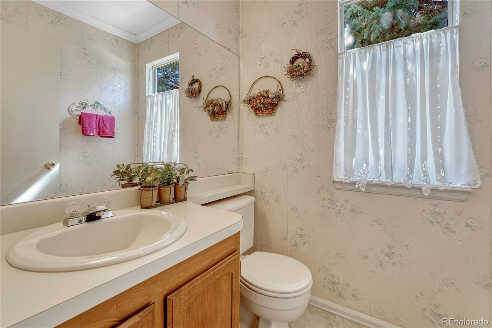 MLS Image #19 for 145  blue spruce court,highlands ranch, Colorado