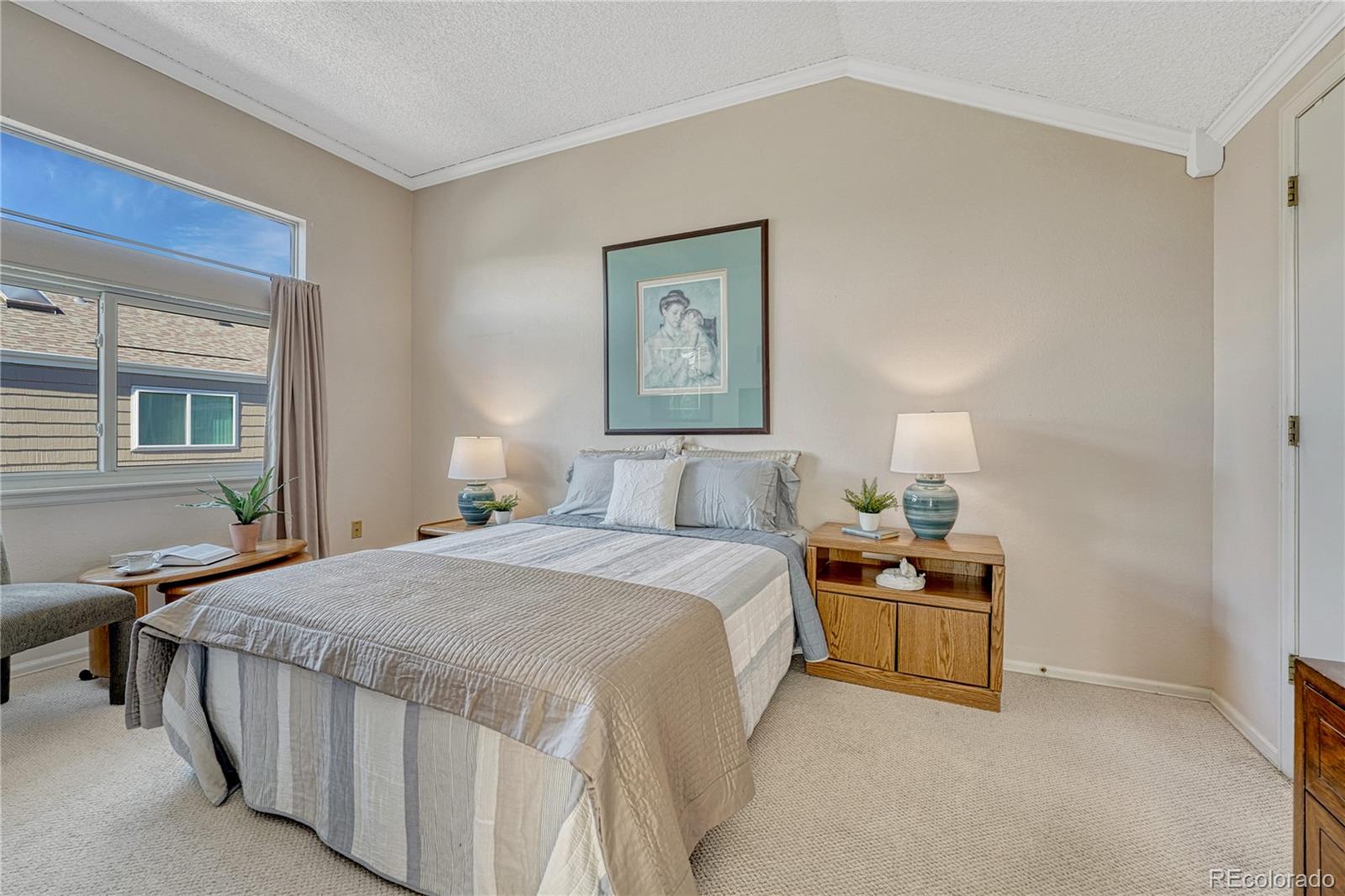 MLS Image #21 for 145  blue spruce court,highlands ranch, Colorado
