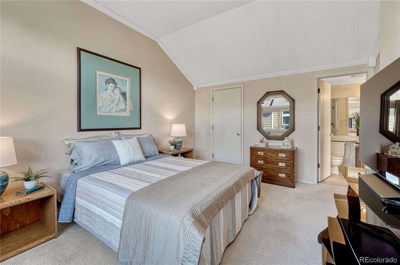 MLS Image #22 for 145  blue spruce court,highlands ranch, Colorado