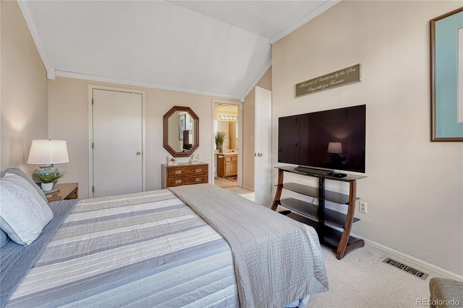 MLS Image #23 for 145  blue spruce court,highlands ranch, Colorado