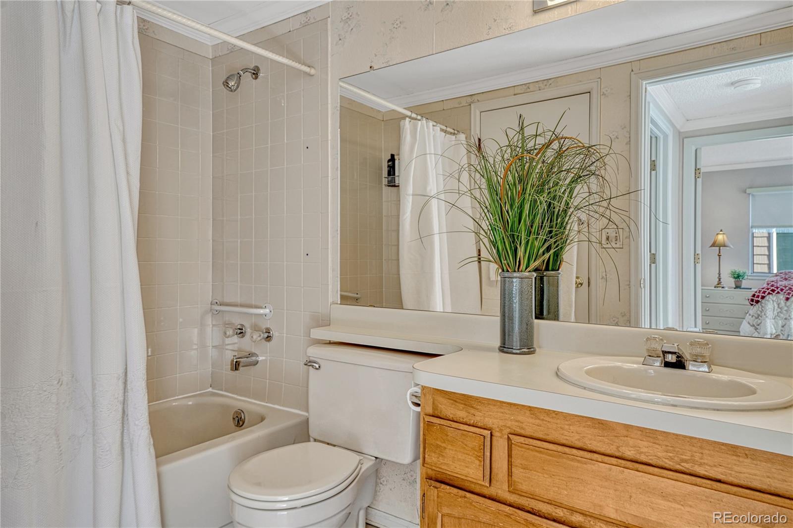 MLS Image #24 for 145  blue spruce court,highlands ranch, Colorado